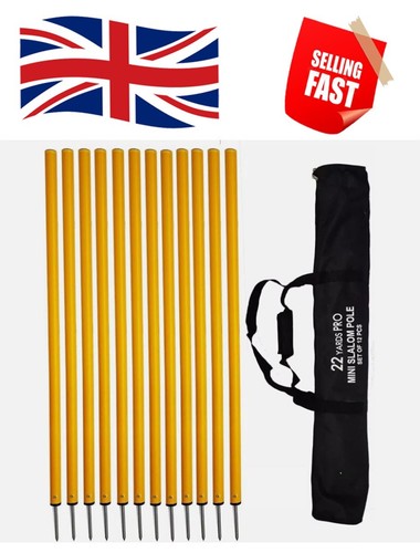 Slalom poles football - slalom,