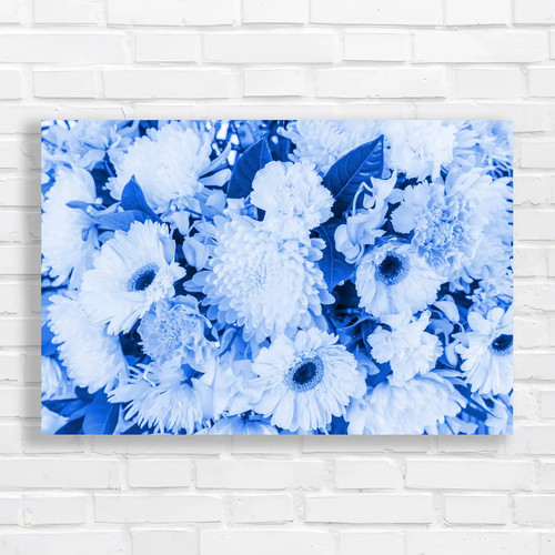 White chrysanthemum flowers - white,