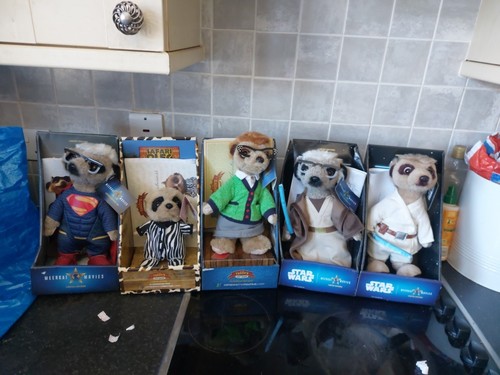 Meerkat movies toy shop - movies,