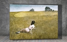 Christina’s World by Andrew