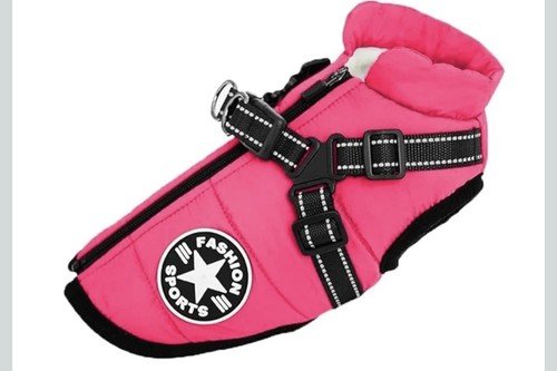 Dog coat waterproof - dog, winter