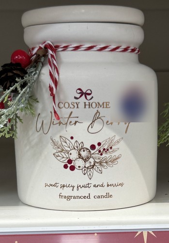 Winter berry scented candle - berry,