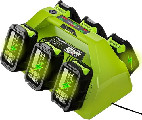 Port simultaneous charger - 6-port,