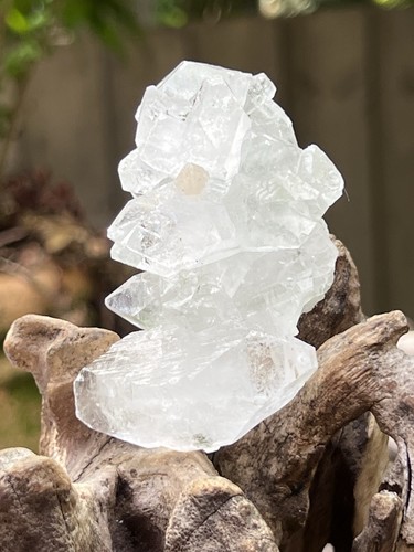 Apophyllite cluster mineral - cluster,