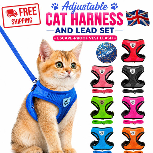 Adjustable cat harness and - cat,