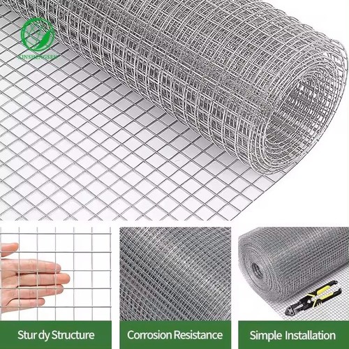 Chicken wire mesh hot dipped - hot,