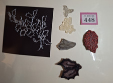 HOLLY DIE (TIM HOLTZ ) AND