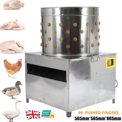 Poultry plucker machine - poultry,