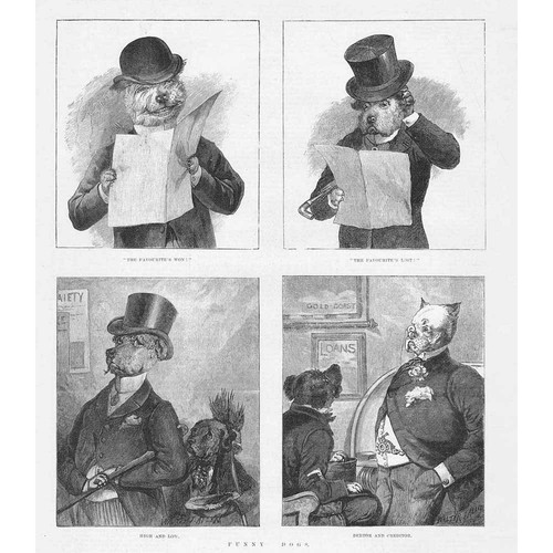 Funny dogs victorian - funny,