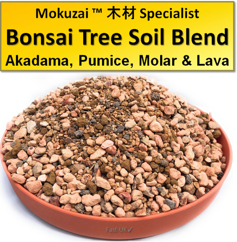 Bonsai trees potting soil - bonsai,