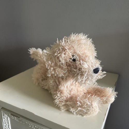 Douglas cuddle goldendoodle - douglas,