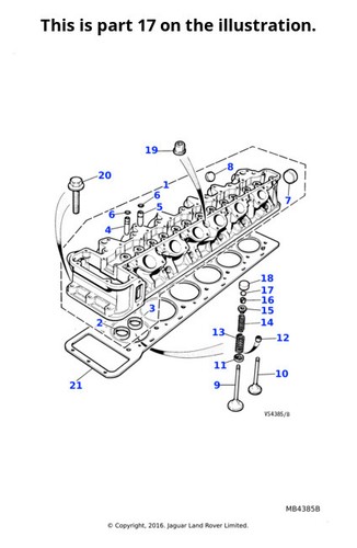Jaguar genuine tappet - 2x,