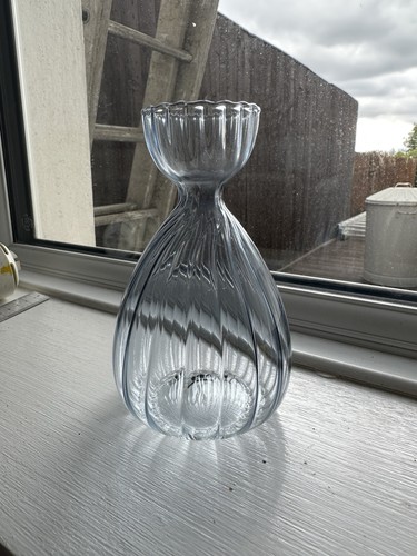 Avocado seed starter vase - seed,