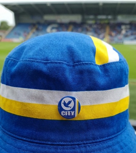 Cardiff city retro - city, small