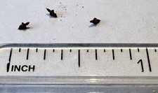 MST 8 3/4 Staff Watch Part - New Old Stock (see photo & description) (129)