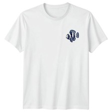 Clownfish Marine Life Animal