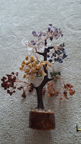 Chakra money tree bonsai - 7,