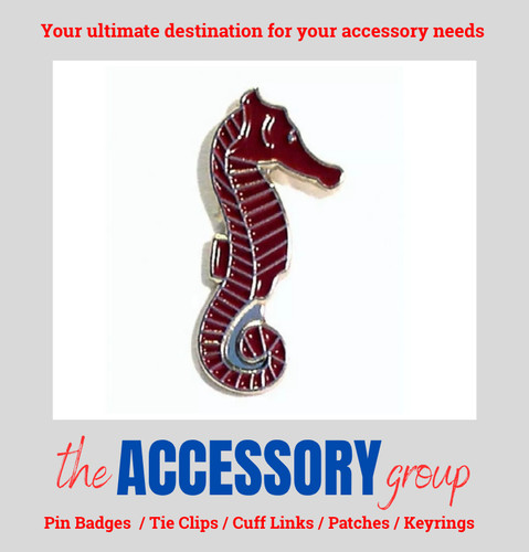 New sea horse seahorse animal - sea,