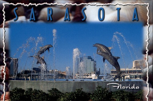 Sarasota florida dolphin - florida,