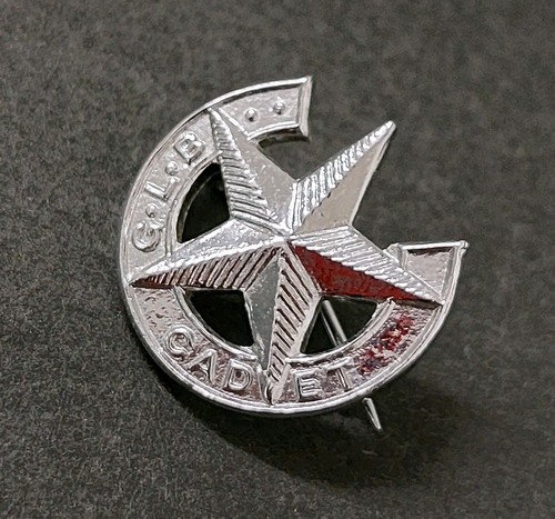 Vintage enamel pin - enamel,