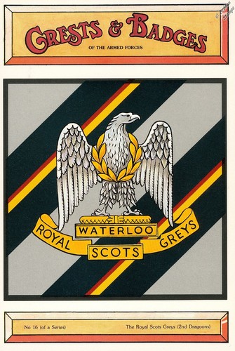 The royal scots greys - royal,