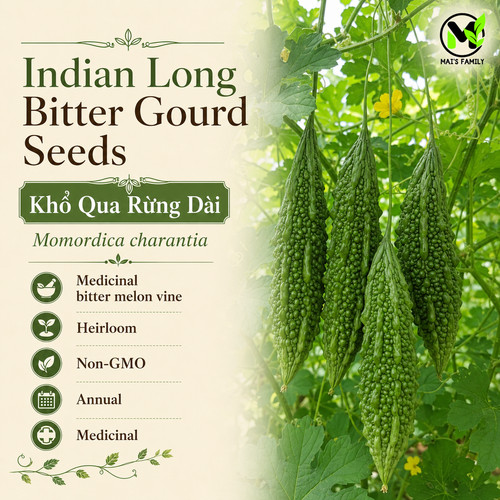 Indian long bitter melon - long,