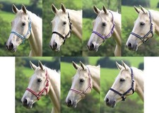 Shires Wessex Headcollar Two