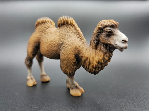 Schleich 14348 bactrian - schleich,