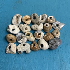 Twenty Natural Hag Stones