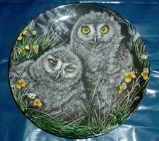 Wedgwood Collectors Plate