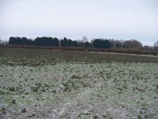 Photo 6x4 Where is the path Kingham The footpath from Kingham to Bluewood c2009