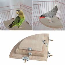New Pet Bird Parrot Wood