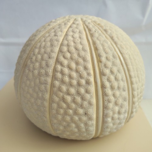 Lovely sea urchin ceramic - lovely,