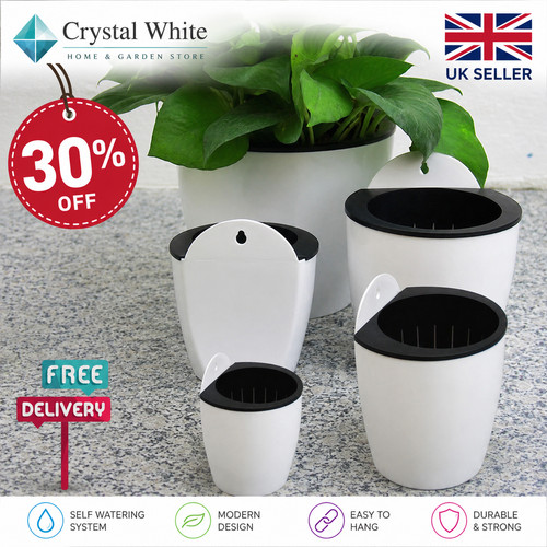 Self watering plant flower pot - self,