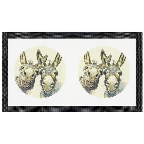 Donkey couple pet feeding - 'donkey,
