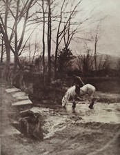 The White Pony 1909 by Frank Meadow Sutcliffe 1853-1941