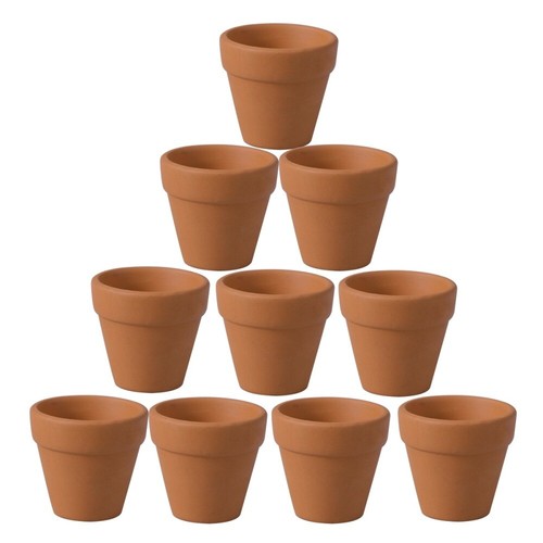 Tiny cactus pots - cactus,