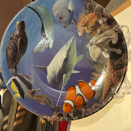 Sea life decorative collector - sea,