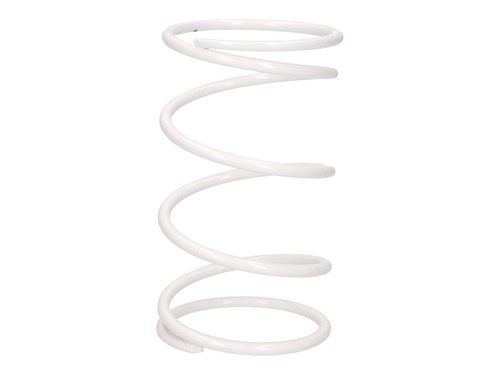 Torque spring malossi mhr - torque,