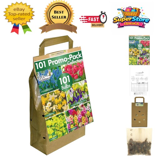 Luxury 101 pack - pack, of