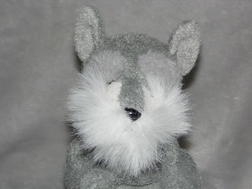Russ scuffy grey puppy dog - scuffy,