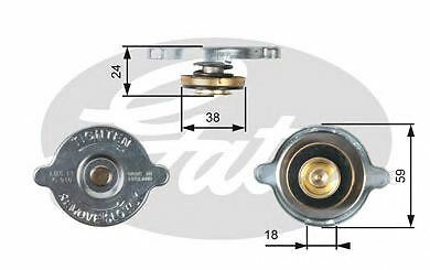 Engine radiator cap gates - engine,