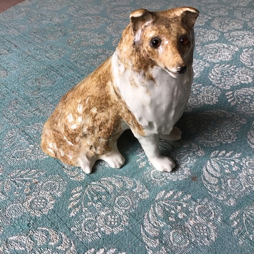 Winstanley rough collie - winstanley,