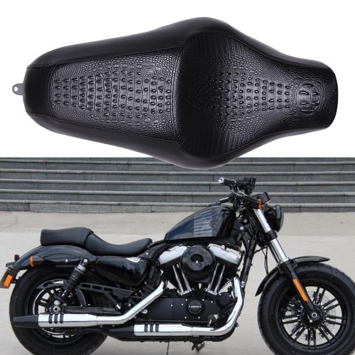 Motorcycle crocodile two - motorcycle,