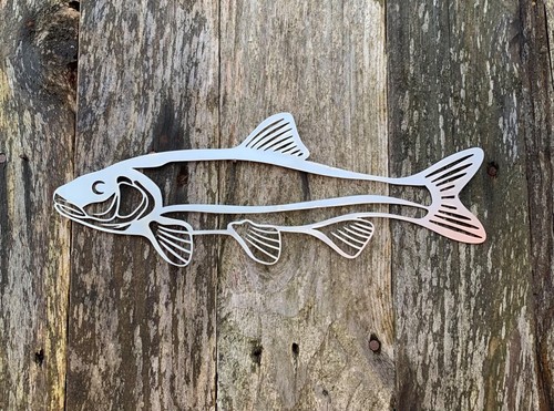 Chub fish steel wall - fish,