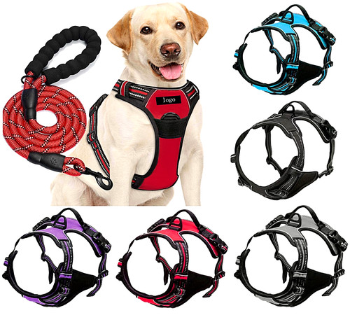 Dog harness training leash - harness,