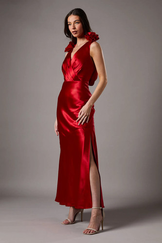 Coast red line - a-line, dress