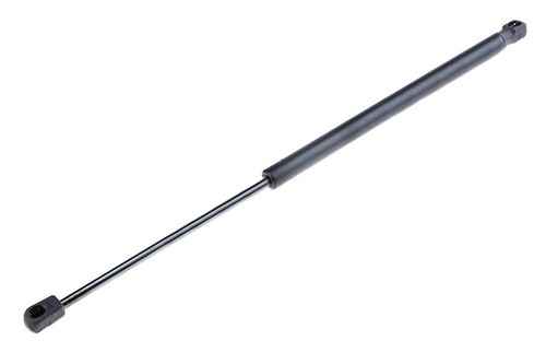 Trunk strut for - trunk,