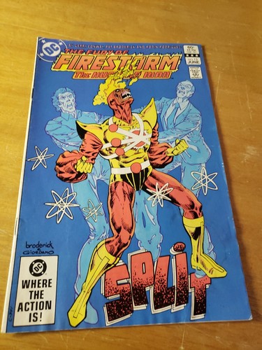 The fury firestorm - the,