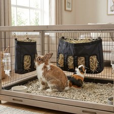 With 1kg hay rabbit guinea - hay,